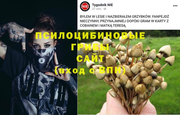 метадон Баксан