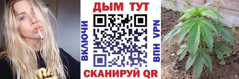 нарко площадка как зайти  дарнет шоп  гидра ссылки  Ачхой-Мартан  Бошки марихуана Bruce Banner 